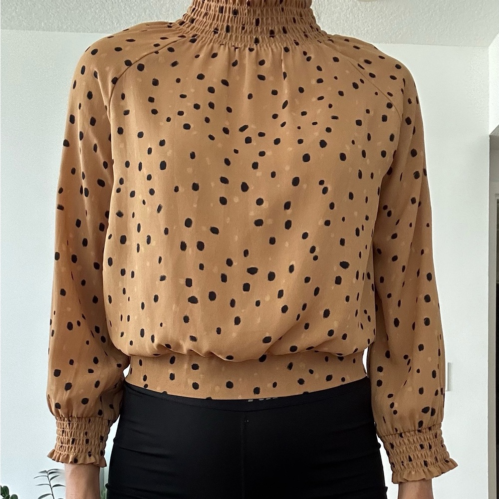 DR2 from Nordstrom cropped, turtle neck blouse